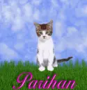 Parihan