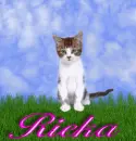 Rieka