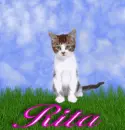 Rita