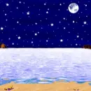 MIDNIGHT STARY OCEAN