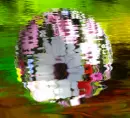 RIPPLING FLOWER BALL