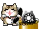 cat