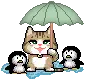 cat