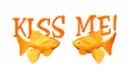 kiss me goldfish