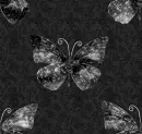 dark butterflies
