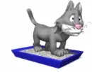 cat kicking in litterbox