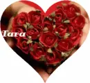 Tara