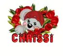 chrissi