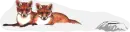 foxes and groundhog