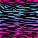 Multi-colored zebra print