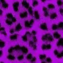 Purple leopard print