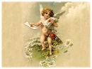 Cupid Valentine