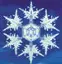 Snow Ice