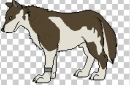 Name Eva with animals