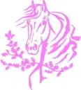 buitifull horse grathic