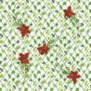 green &red flwr