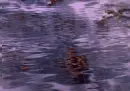 BABY BLUE RIPPLING CLOUDS