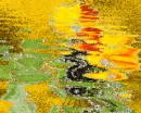 RIPPLING DIAMOND POPPYS