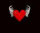 â¤fLYiNâ¤HeARtâ¤