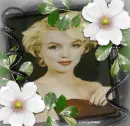 01.012011-sereneMMwhiteflowers-sa