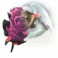 Rosey