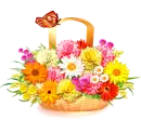 Bunch of flowers