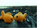 kissing fishies