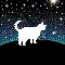 cat star avatar