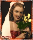 NORMA JEANE LACE LILLY