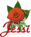 Jessi