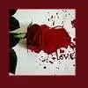 Bloody Love