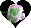 Liah