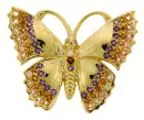GOLDEN BUTTERFLY