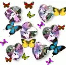PURPLE RAINBOW BUTTERFLY HEARTS