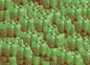 Green Pepper Overload