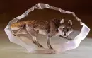 CRYSTAL WOLF