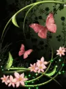 Flying butterfly