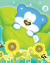 bear