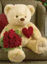 bear