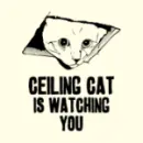 Ceiling Cat
