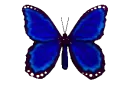 GLITTERY BLUE BUTTERFLY