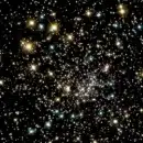 Stars
