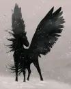 Black pegasus