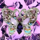 BUTTERFLY STORM
