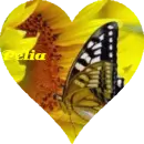 Pelia