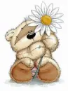 bear