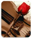 Rose & Violin