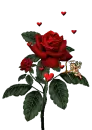 animated flower