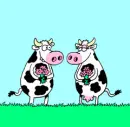 âœ¿CoWsâœ¿