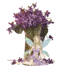 Fata dei Fiori 3